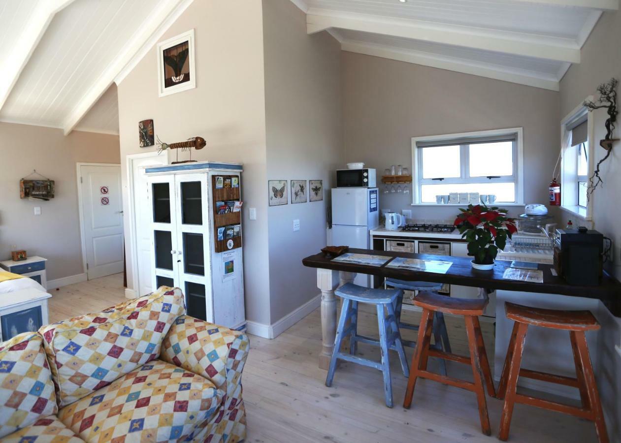 Reddoor Studio Pringle Bay Esterno foto